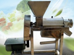 直销不锈钢蔬菜水果榨汁机 全自动大型榨汁机