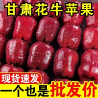 天水花牛苹果10/5/3斤新鲜应季甘肃蛇果平安果宝宝刮泥苹果水果