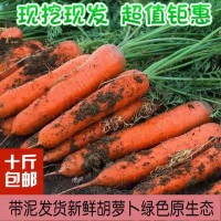 10斤包邮【现挖现发】新鲜胡萝卜新鲜蔬菜农家水果萝卜蔬菜类批发