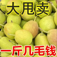 【爆甜多汁】香梨源自新疆库尔勒香酥梨当季新鲜水果整箱批发