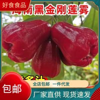 产地直销海南三亚红宝石莲雾果1-5斤批发新鲜水果当季现摘