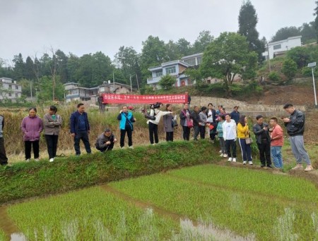 贵阳市农业技术推广站到白云区开展农技人员下沉服务工作
