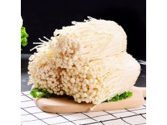 广西新鲜金针菇食用菌 凉拌烧烤蔬菜火锅素菜配菜 5斤