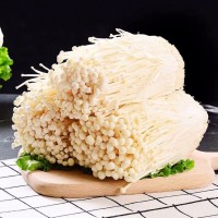 广西新鲜金针菇食用菌 凉拌烧烤蔬菜火锅素菜配菜 5斤