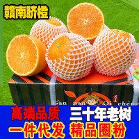 【核心产区】正宗江西赣南脐橙精品10斤装新鲜甜橙子水果一件代发