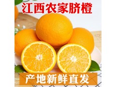 江西赣南脐橙橙子10斤新鲜采摘赣州甜橙批发一件代发应季水果直供