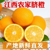 江西赣南脐橙橙子10斤新鲜采摘赣州甜橙批发一件代发应季水果直供